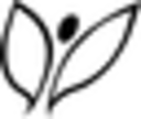Angellift Coupon Codes